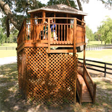 The Morrison's treehouse was built with a ramp to allow easy access for the family's three dogs and cat.