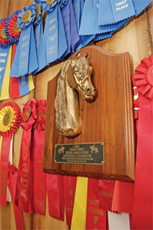 Chris, Barbara’s grandson, won the Amateur Owner Class at the Paso Fino Nationals held in Perry, Georgia at the age of 15, and this year won the Amateur Owner Classic Fino class at Southern Regional.