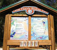 11. west florida birding trail